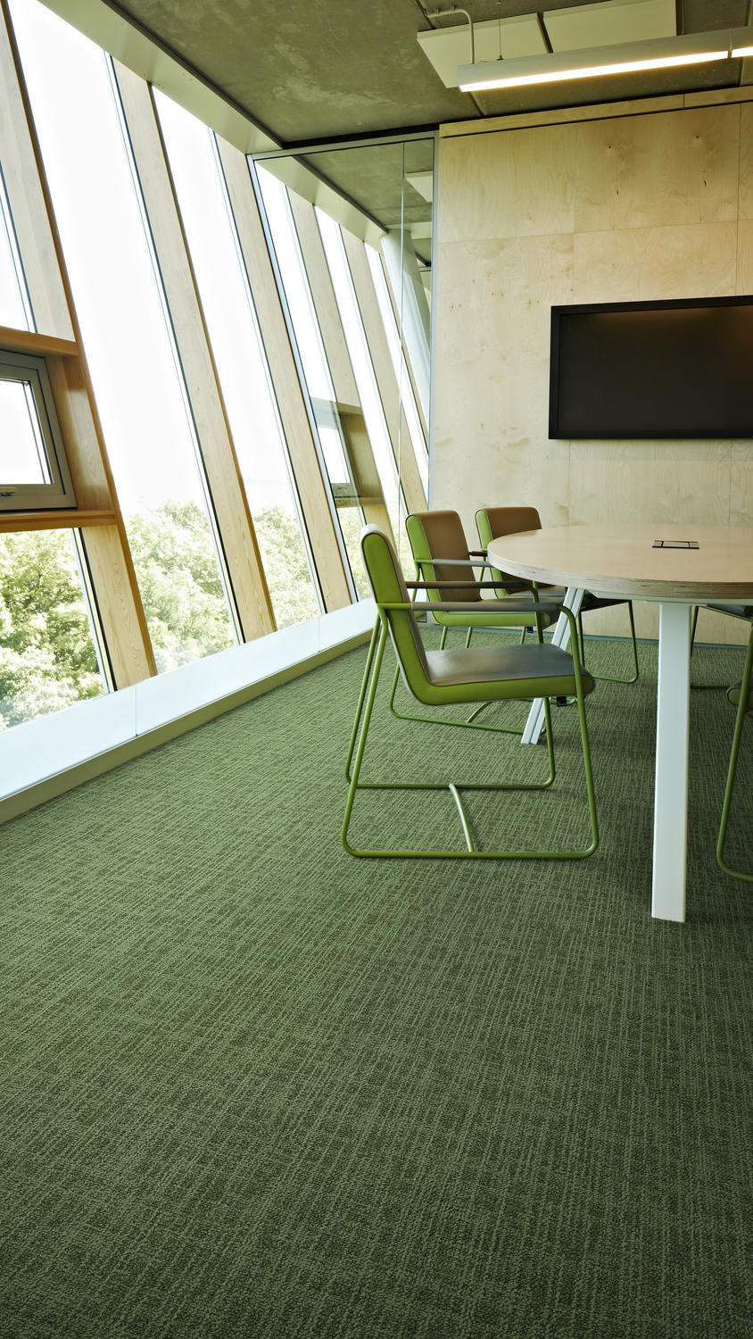Benefits of Using Sisal Rugs and Green Carpets in Interiors